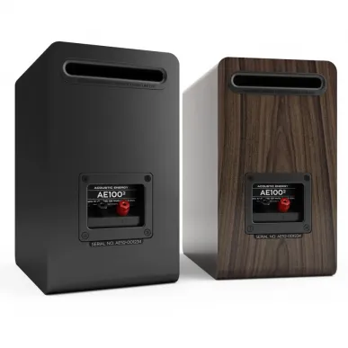 Полочная акустика Acoustic Energy AE100-2 (2022) Black